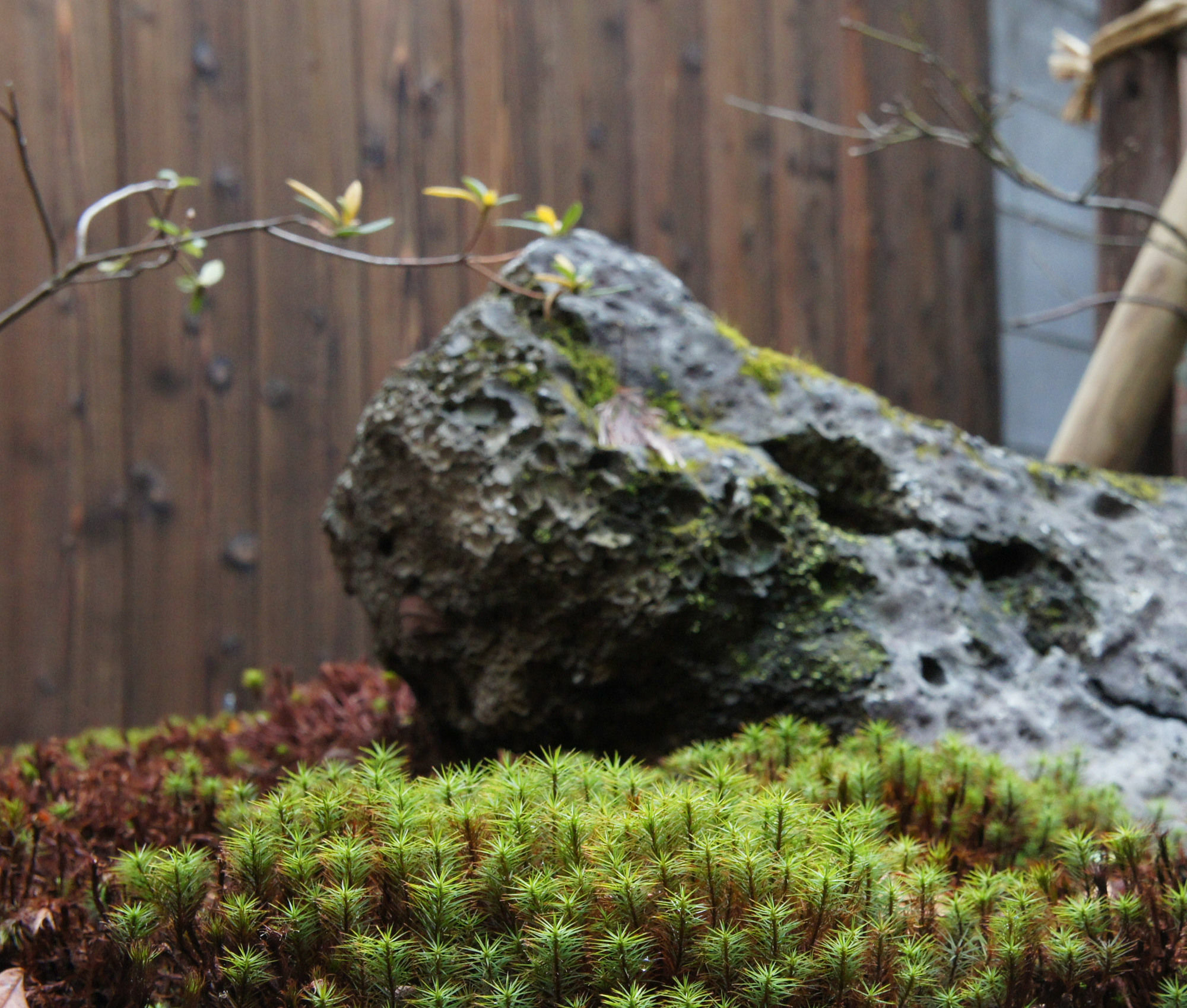 Korakuan Villa Kyoto Bagian luar foto